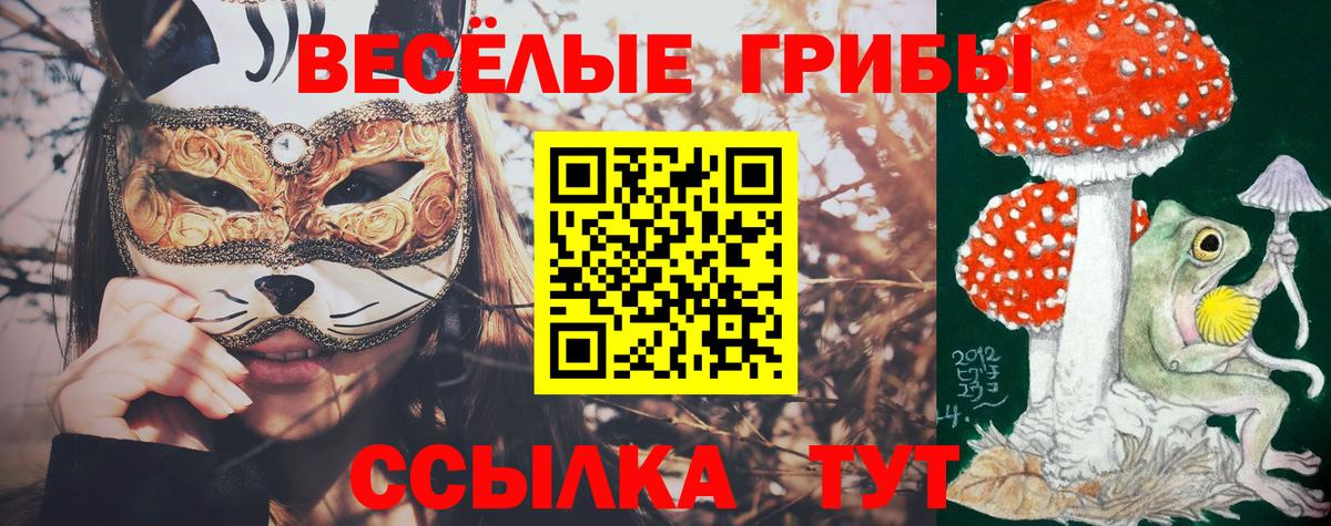 Галлюциногенные грибы мицелий  Вход с VPN  Псилоцибиновые грибы Cubensis  Реж 